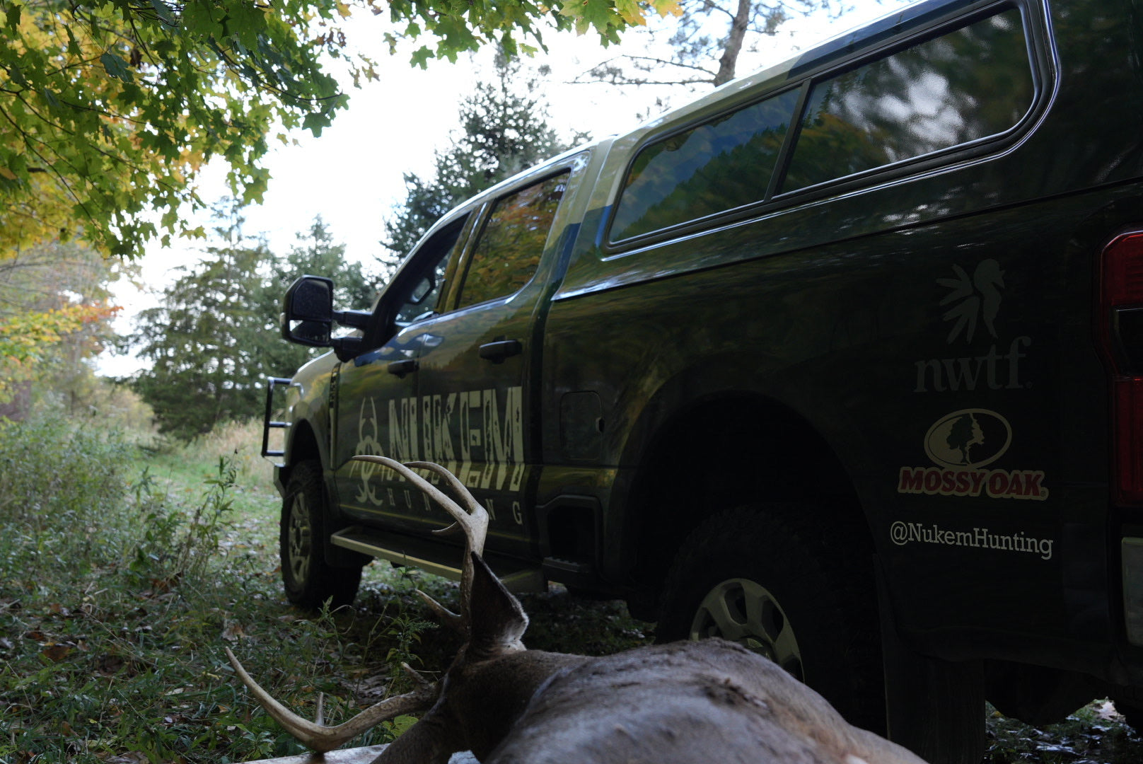 Whitetail blinds